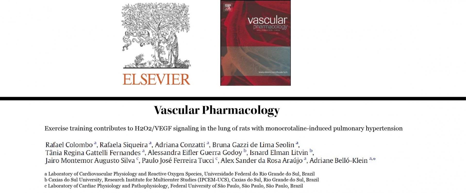 O treinamento físico contribui para a sinalização de H2O2/VEGF no pulmão de ratos com hipertensão pulmonar induzida por Monocrotalina